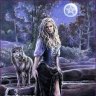 WildKat