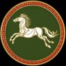 Soldado Enigmático