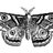 White Moth